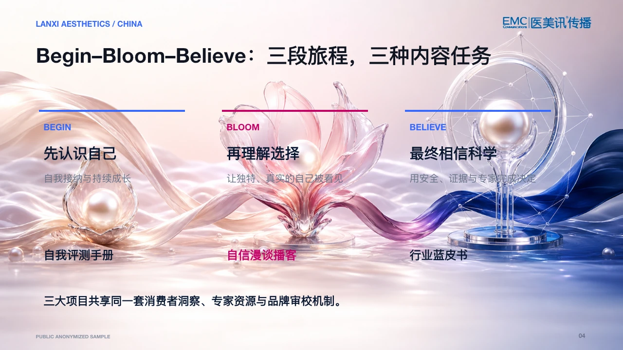 脱敏混合模式 PPT 第 4 页
